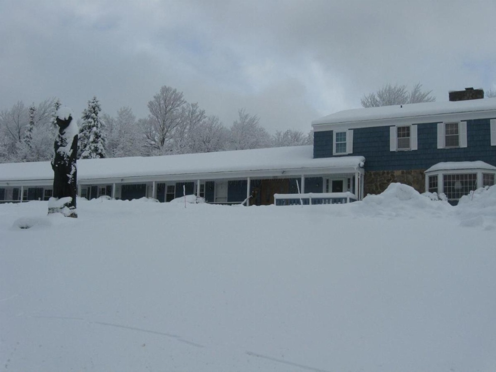 Big Bears Lodge Image 18