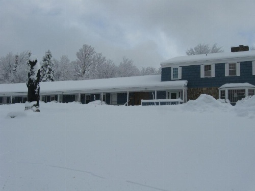 Big Bears Lodge image 18
