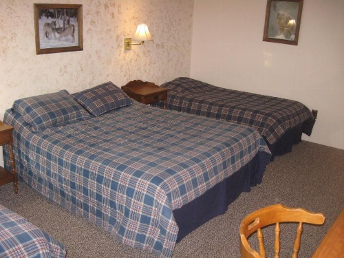 Big Bears Lodge image 6